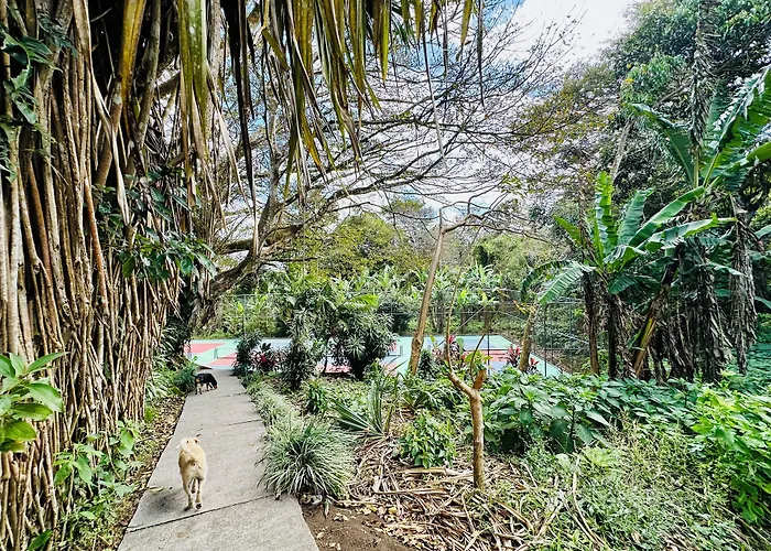 Arenal And Brewery